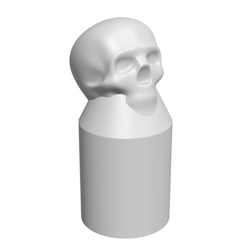 Skull radiator lock shield - skull,