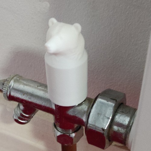 Bear radiator lock shield - 2,