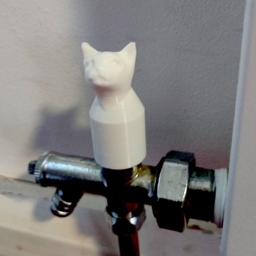 Cat radiator lock - x,